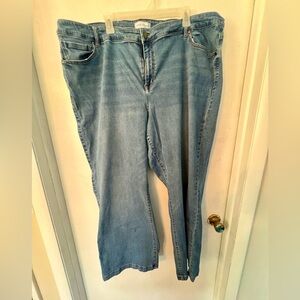 Lane Bryant Jeans